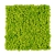 Mech Chrobotek Reniferowy Spring Green 50 g